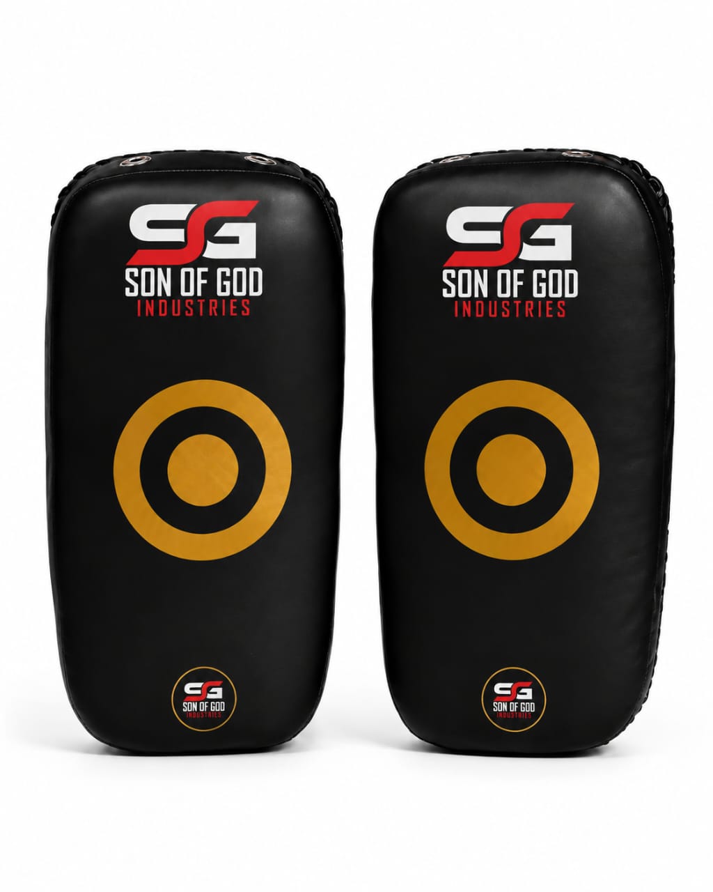 Professional Boxing Focus Mitts | Premium Training Punch Pads