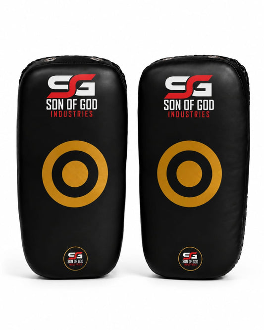 Professional Boxing Focus Mitts | Premium Training Punch Pads